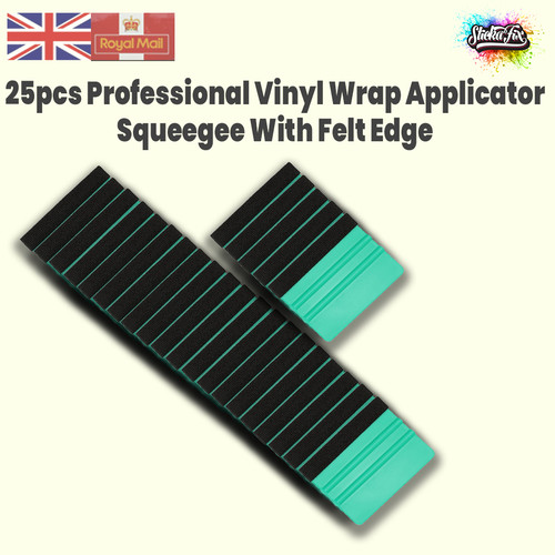 25pcs professional vinyl - -,